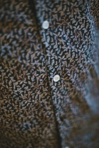 Freeman T Porter Come Follaje